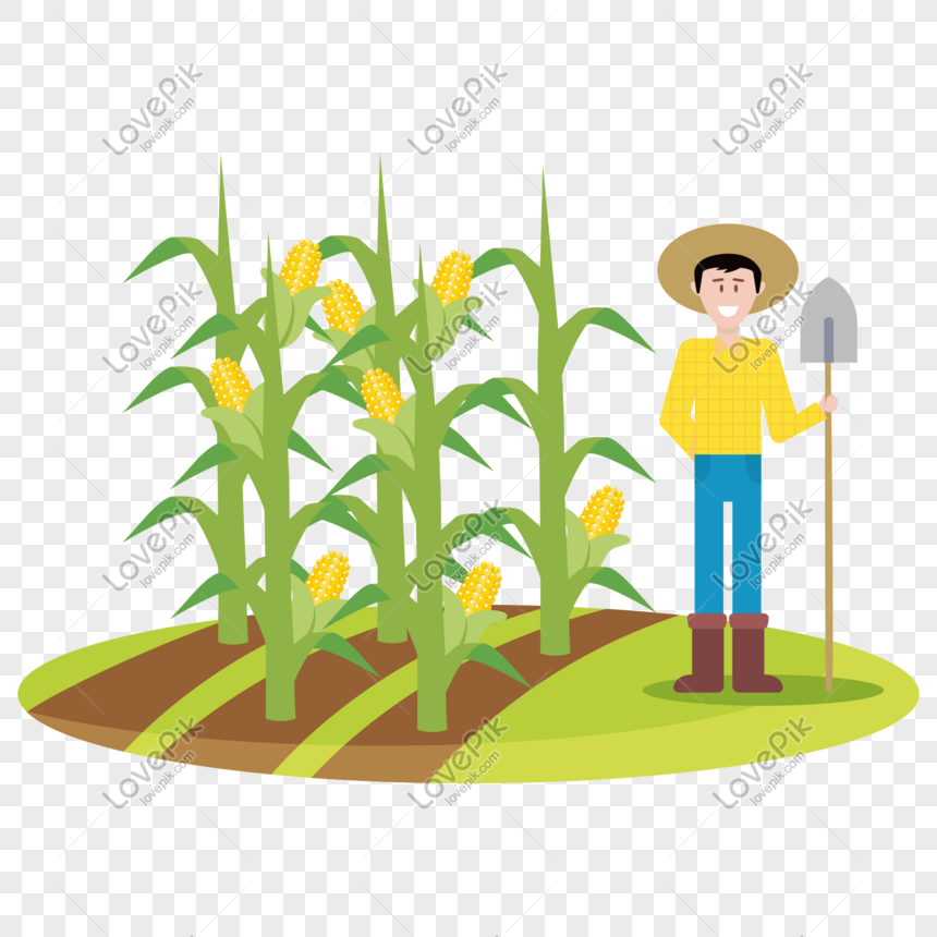 Detail Sawah Vector Png Nomer 34