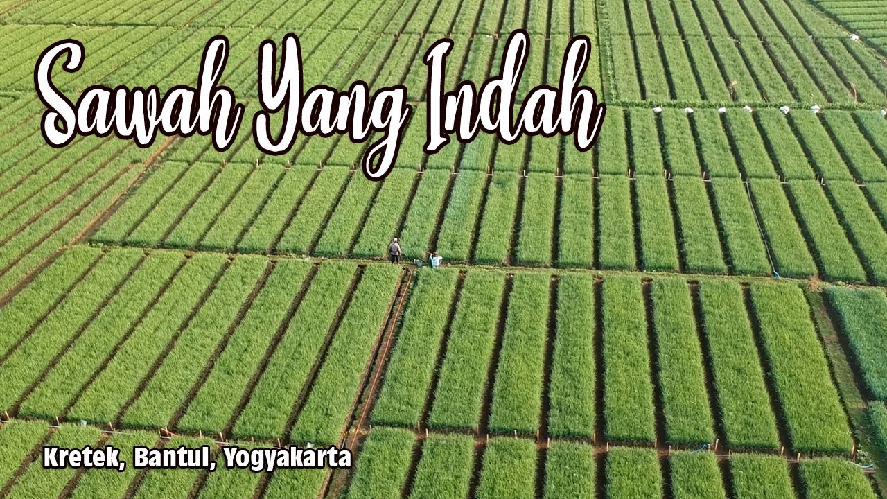 Detail Sawah Yg Indah Nomer 51