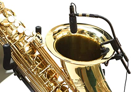 Detail Saxophone Clip On Mic Nomer 23