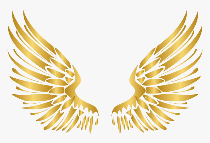 Detail Sayap Png Vector Nomer 10
