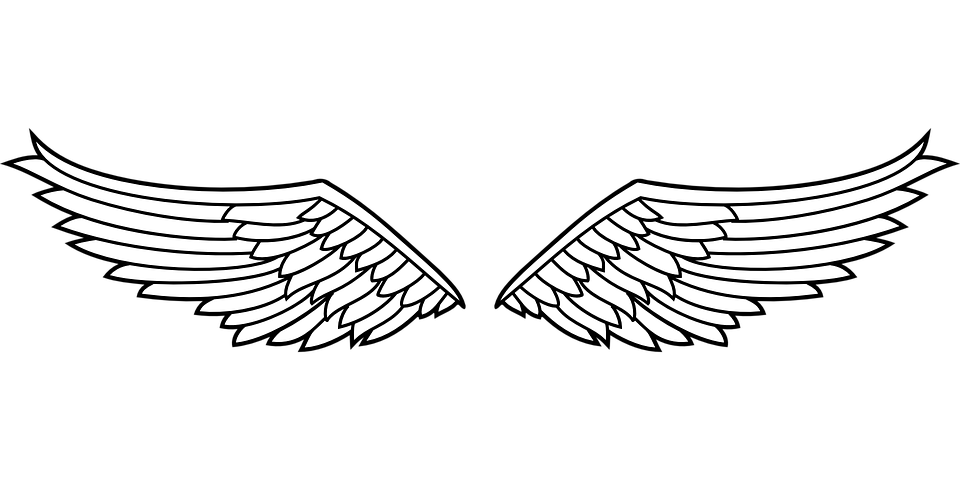 Detail Sayap Png Vector Nomer 13