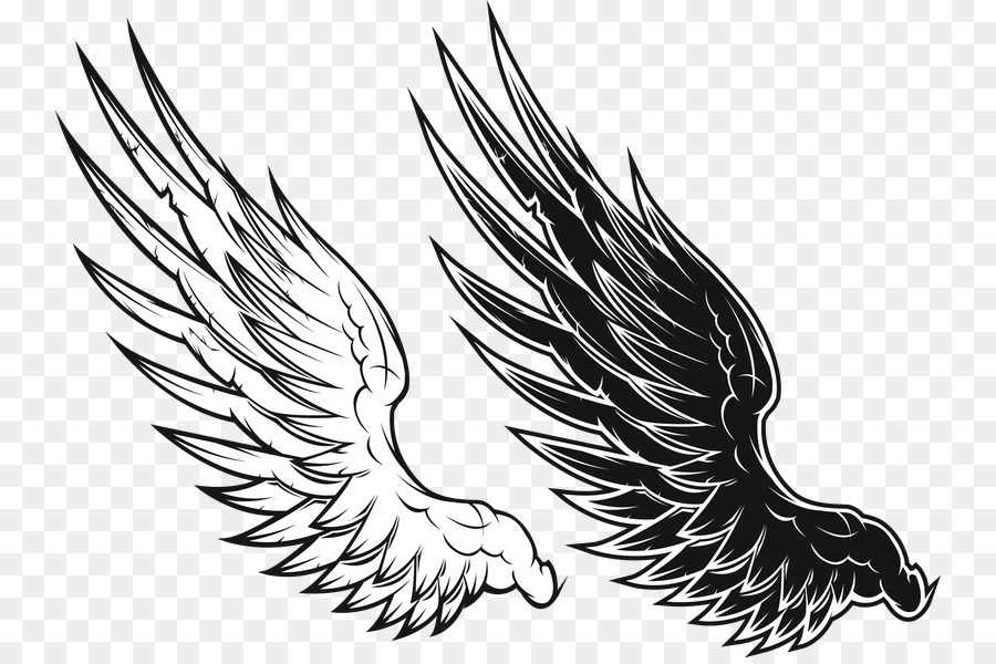 Detail Sayap Png Vector Nomer 15