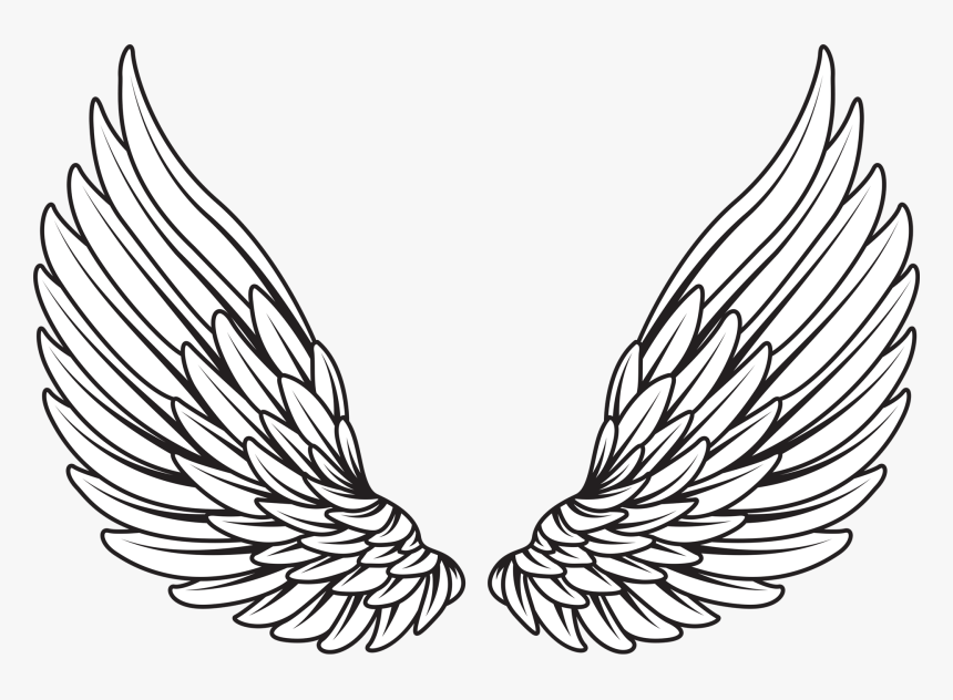 Detail Sayap Png Vector Nomer 3