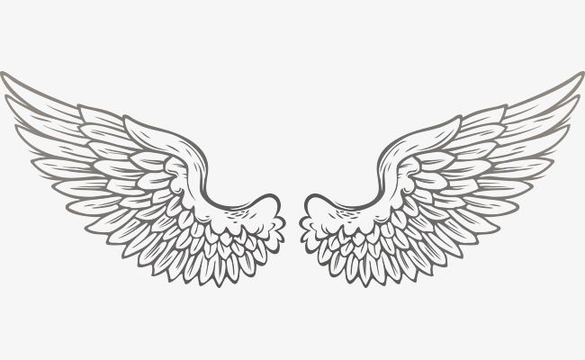 Detail Sayap Png Vector Nomer 18
