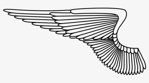 Detail Sayap Png Vector Nomer 21