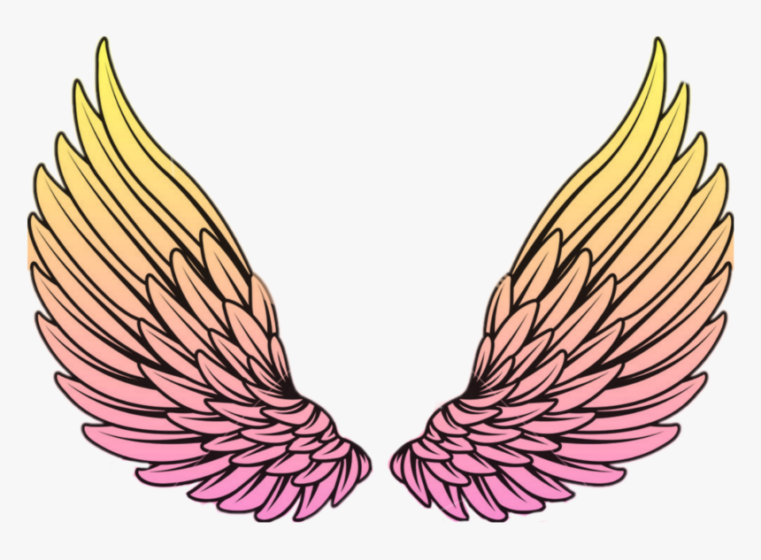 Detail Sayap Png Vector Nomer 4