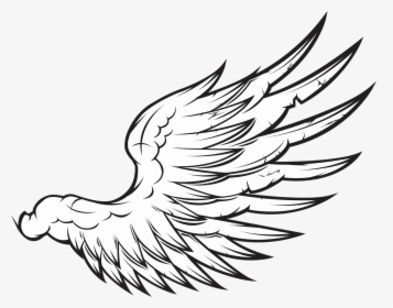 Detail Sayap Png Vector Nomer 6
