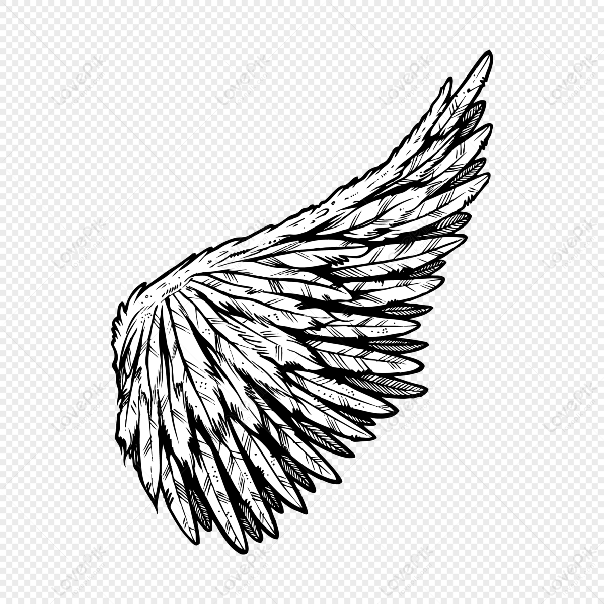 Detail Sayap Png Vector Nomer 8