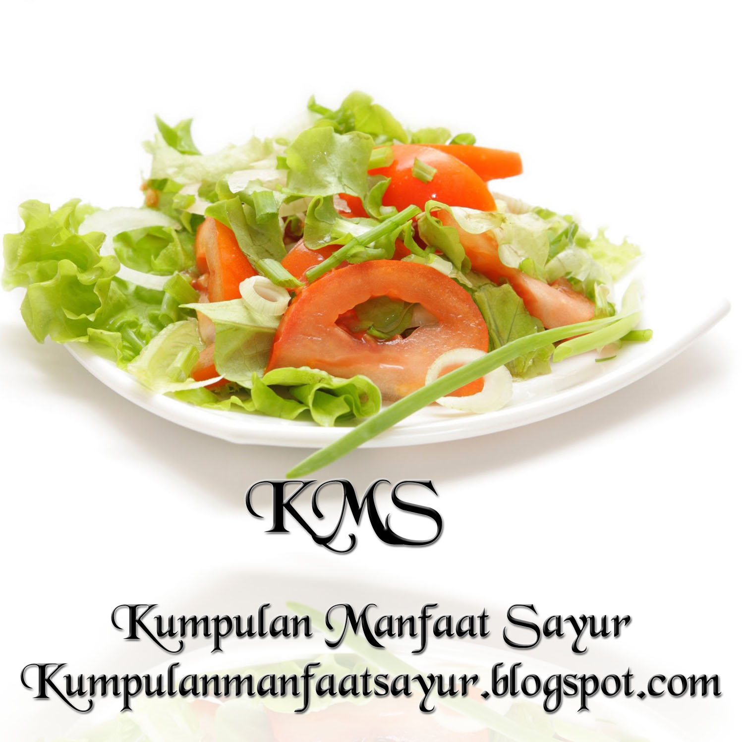 Detail Sayur Dari Huruf H Nomer 35