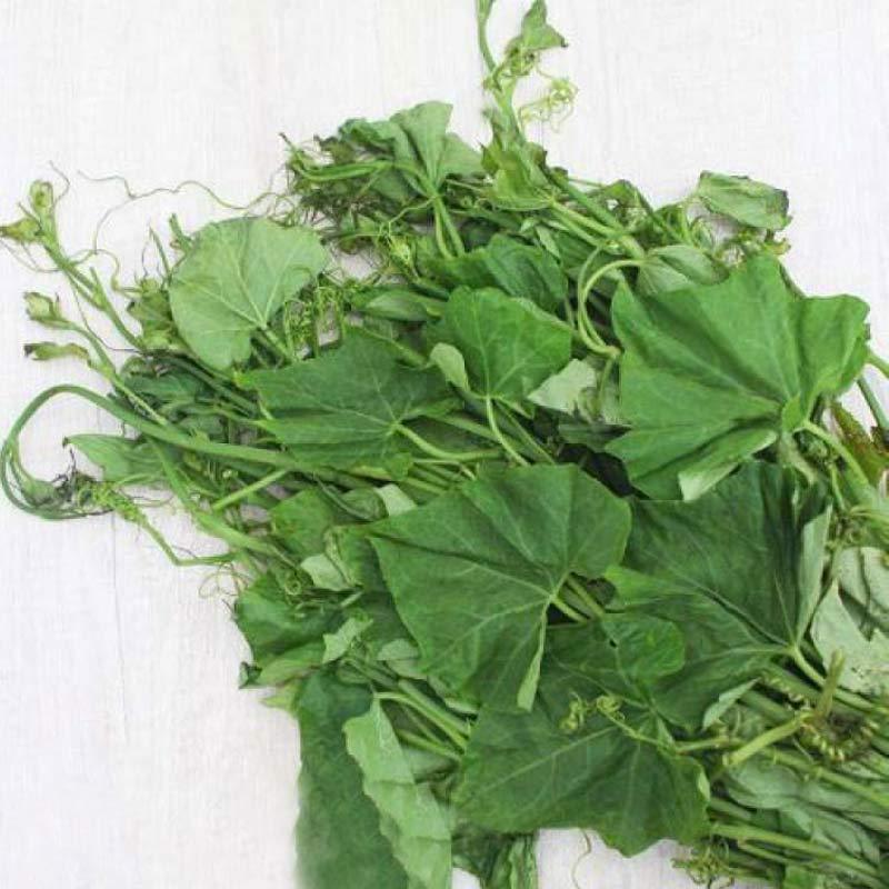 Download Sayur Daun Labu Nomer 10