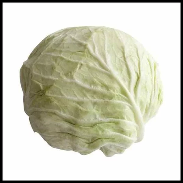Detail Sayur Kol Putih Nomer 13