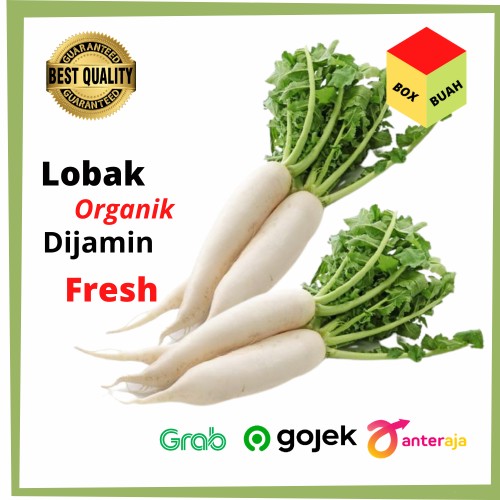 Detail Sayur Lobak Hijau Nomer 20