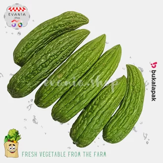 Detail Sayur Pare Png Nomer 34