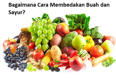 Detail Sayur Sayuran Dan Buah Buahan Nomer 27