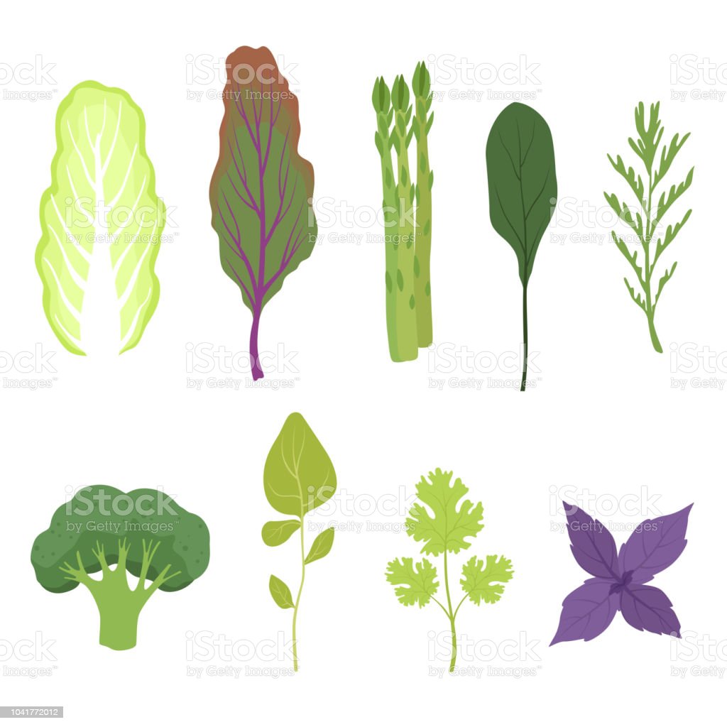 Detail Sayuran Berdaun Hijau Nomer 26