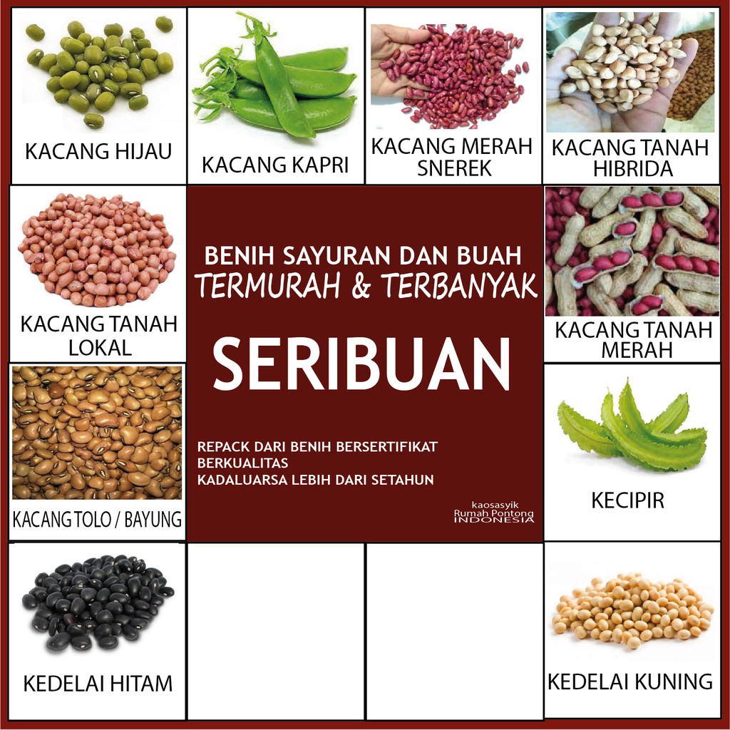 Detail Sayuran Kacang Kacangan Nomer 20