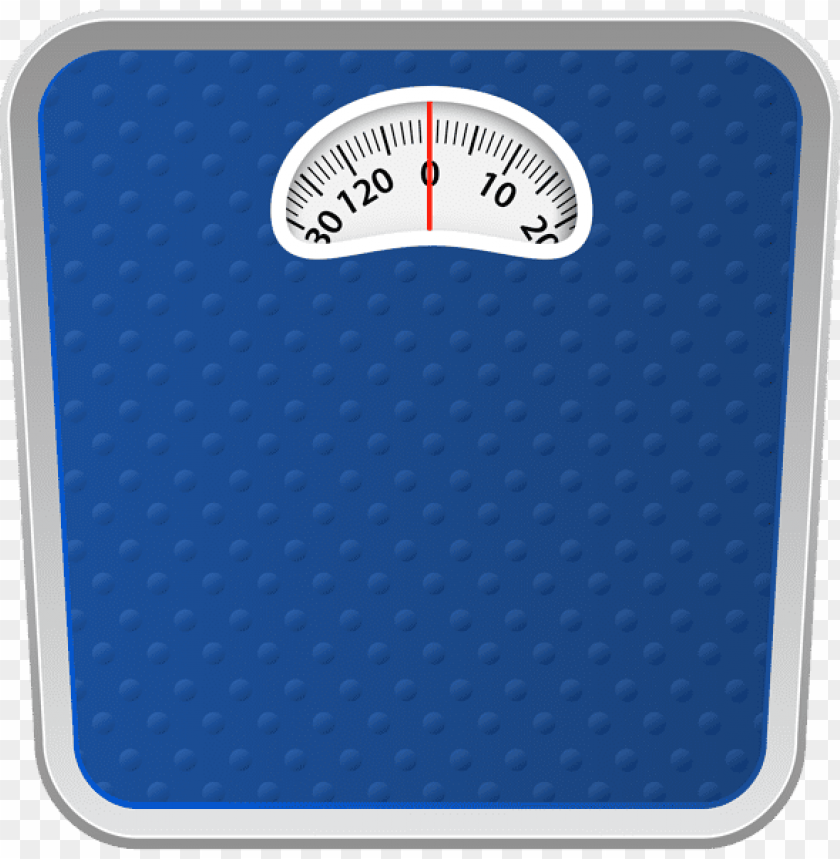 Detail Scale Transparent Background Nomer 49