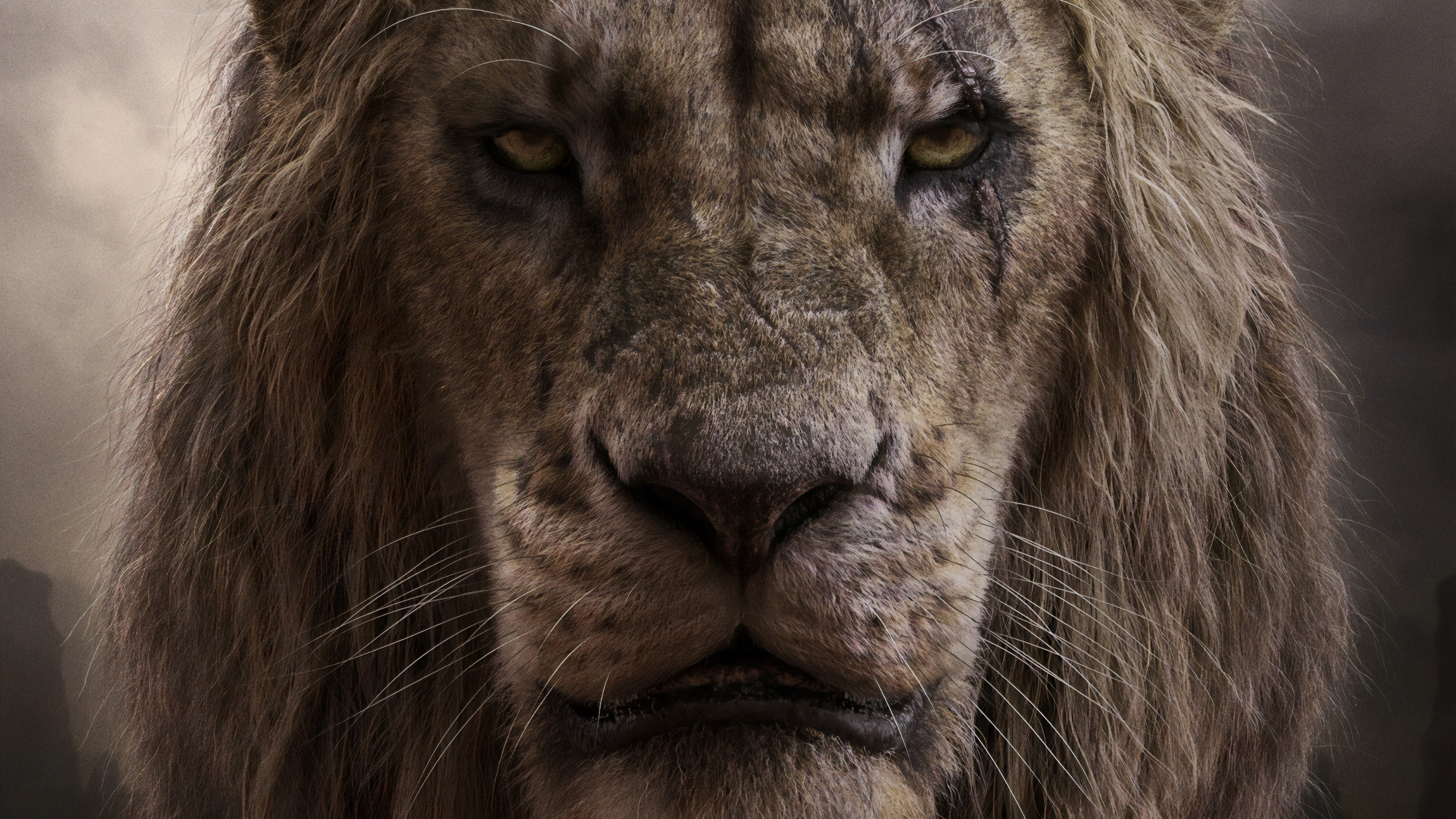 Detail Scar Background Nomer 32