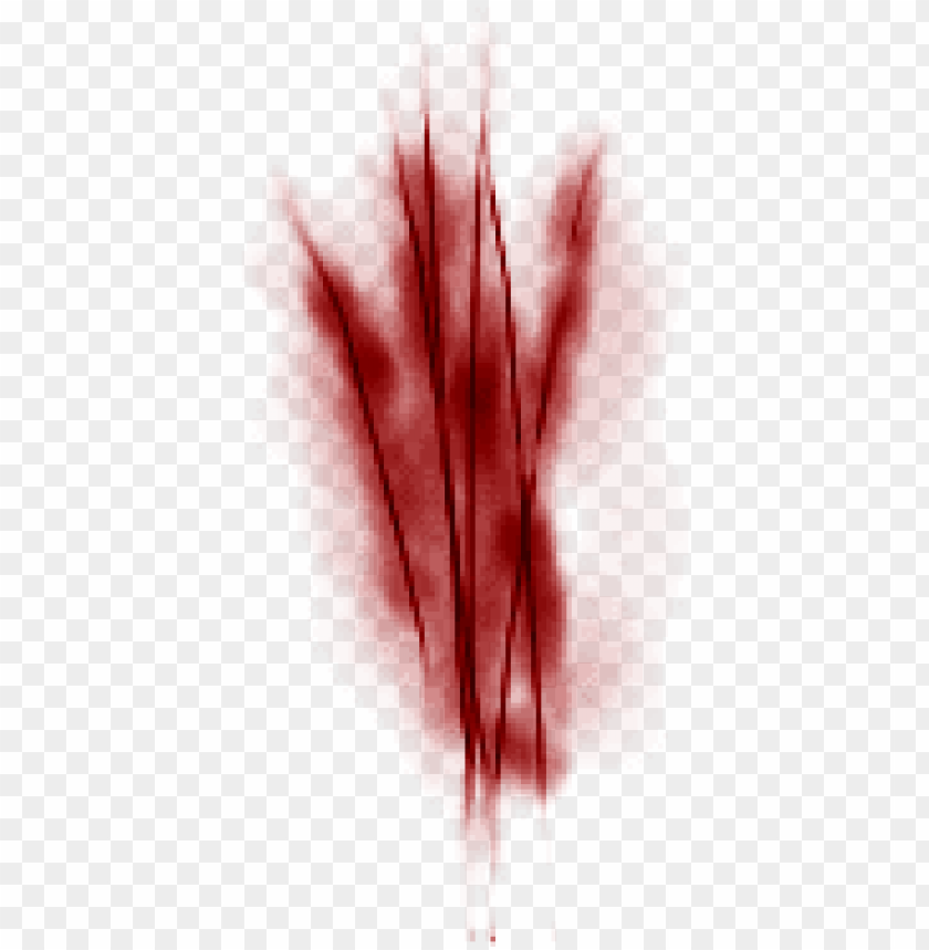 Detail Scar Transparent Background Nomer 5