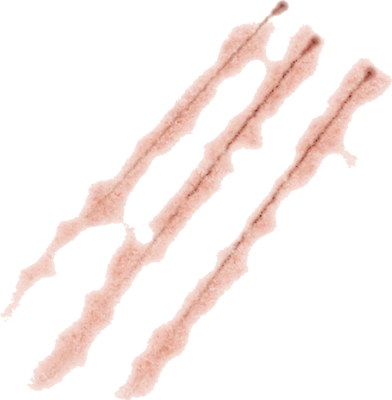 Detail Scar Transparent Background Nomer 6