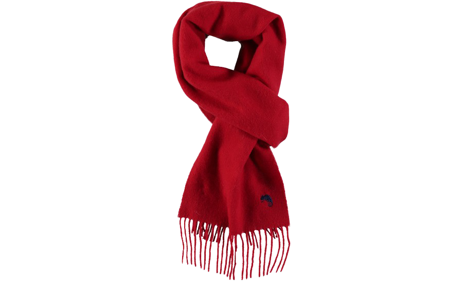 Detail Scarf Transparent Nomer 11