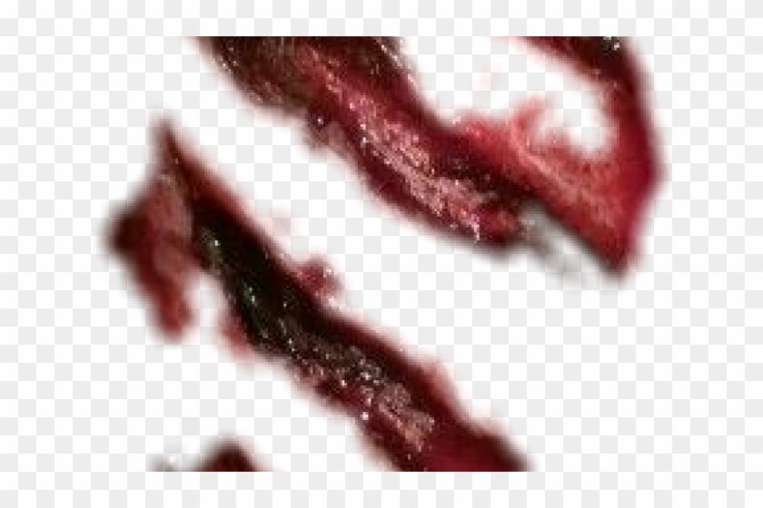 Detail Scars Transparent Nomer 21