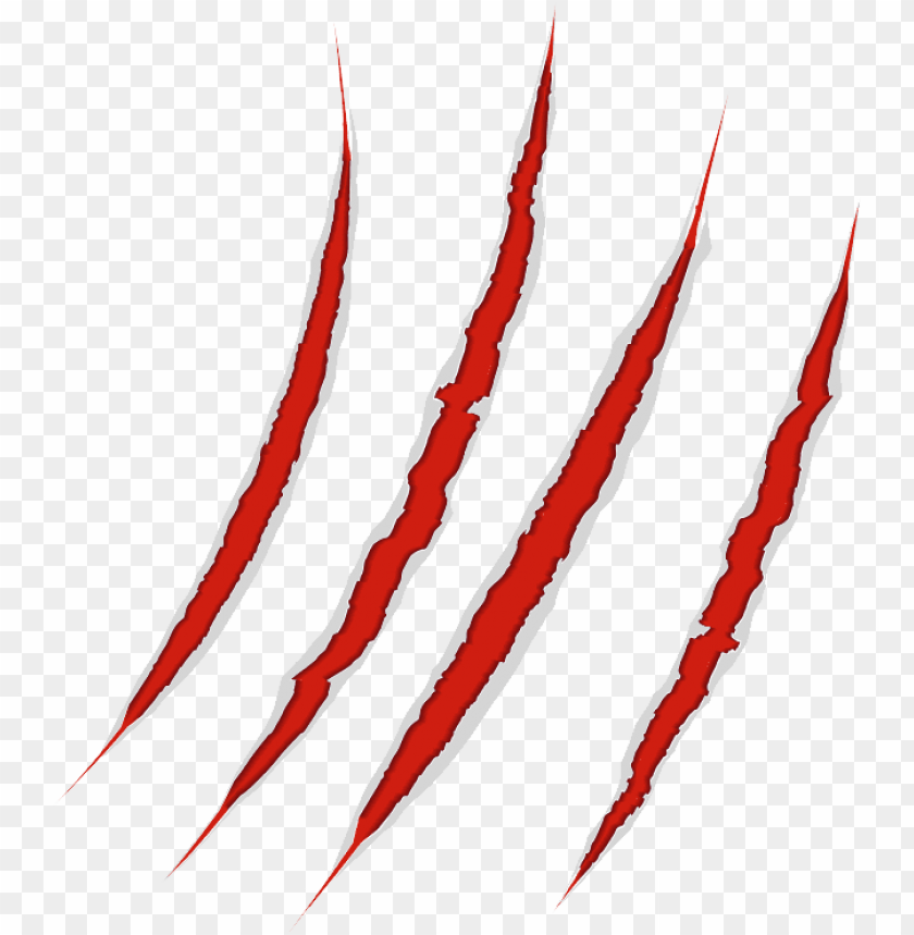 Detail Scars Transparent Nomer 10