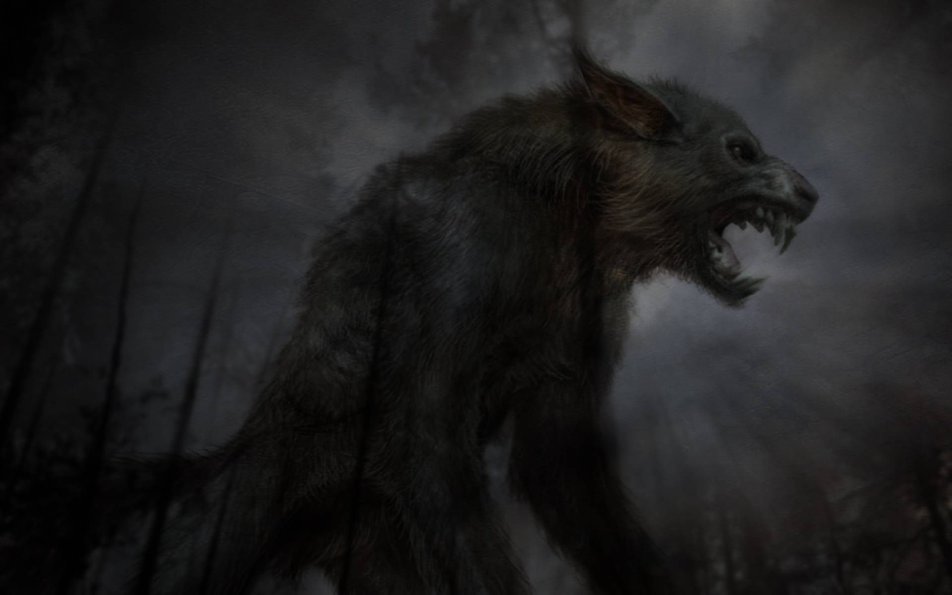 Detail Scary Werewolf Pics Nomer 46