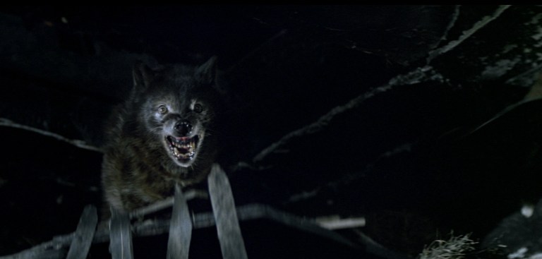 Detail Scary Werewolf Pics Nomer 55