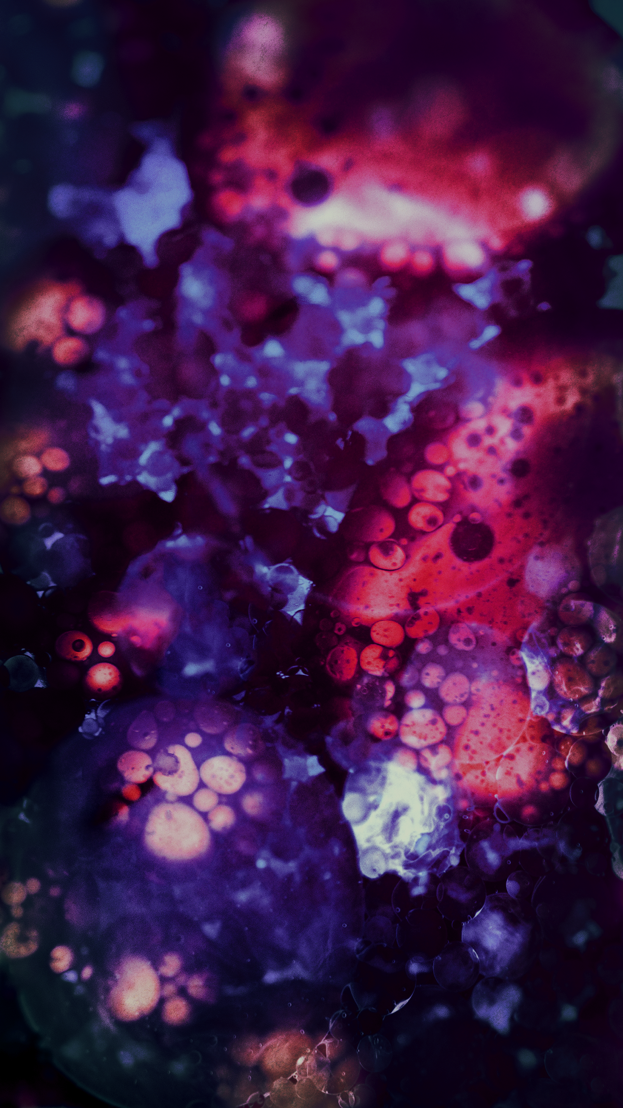 Detail Wallpaper Portrait Android Nomer 20