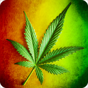 Detail Wallpaper Rasta Hd Nomer 49