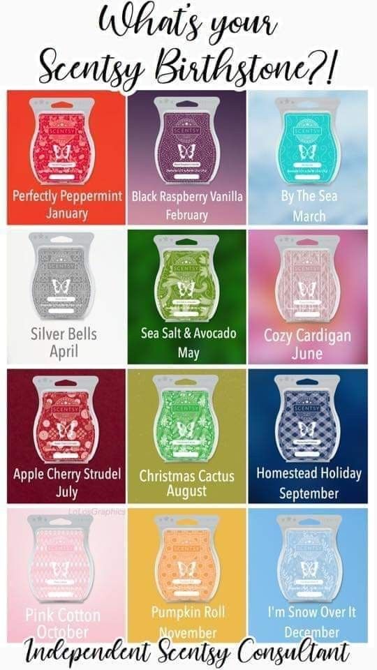 Detail Scentsy Pictures Nomer 18