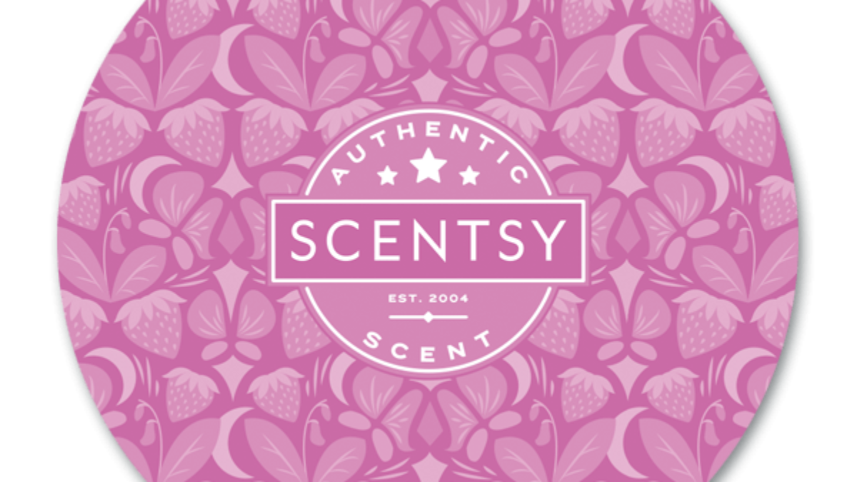 Detail Scentsy Pictures Nomer 41