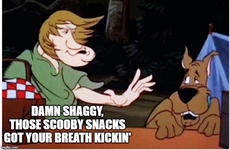 Detail Scooby Doo Meme Nomer 34