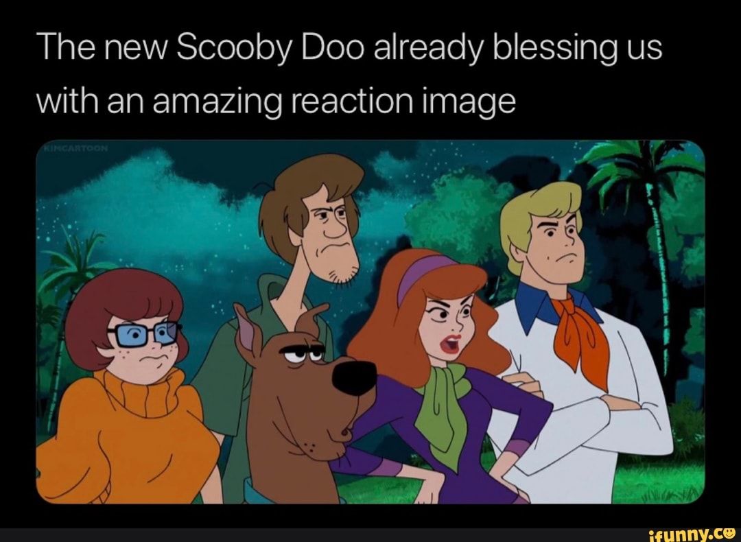 Detail Scooby Doo Meme Nomer 45