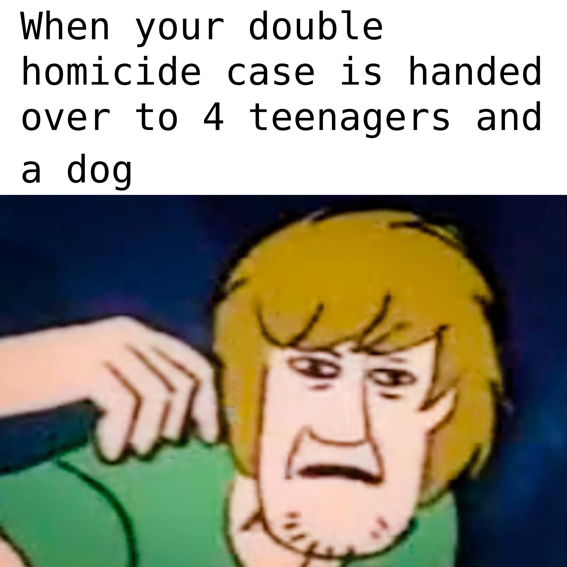 Detail Scooby Doo Meme Nomer 46