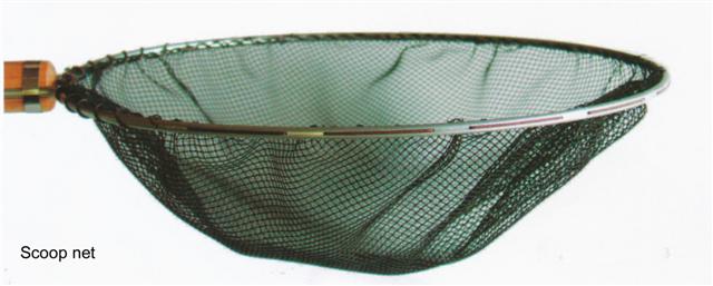 Detail Scoop Net Nomer 20