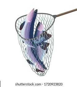 Detail Scoop Net Nomer 23