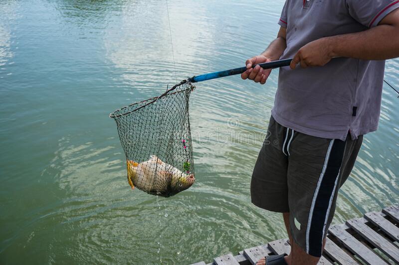 Detail Scoop Net Nomer 24