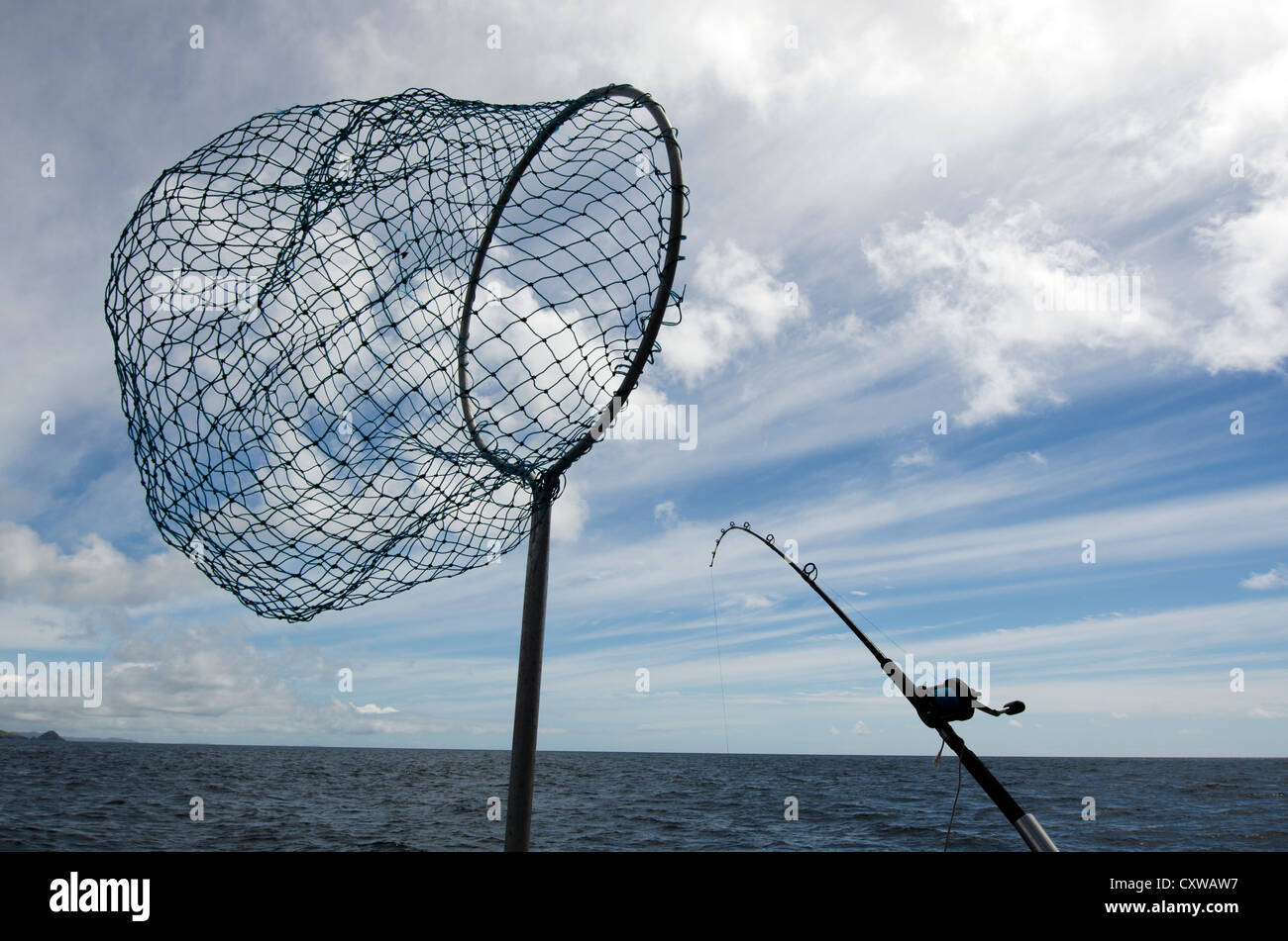 Detail Scoop Net Nomer 25