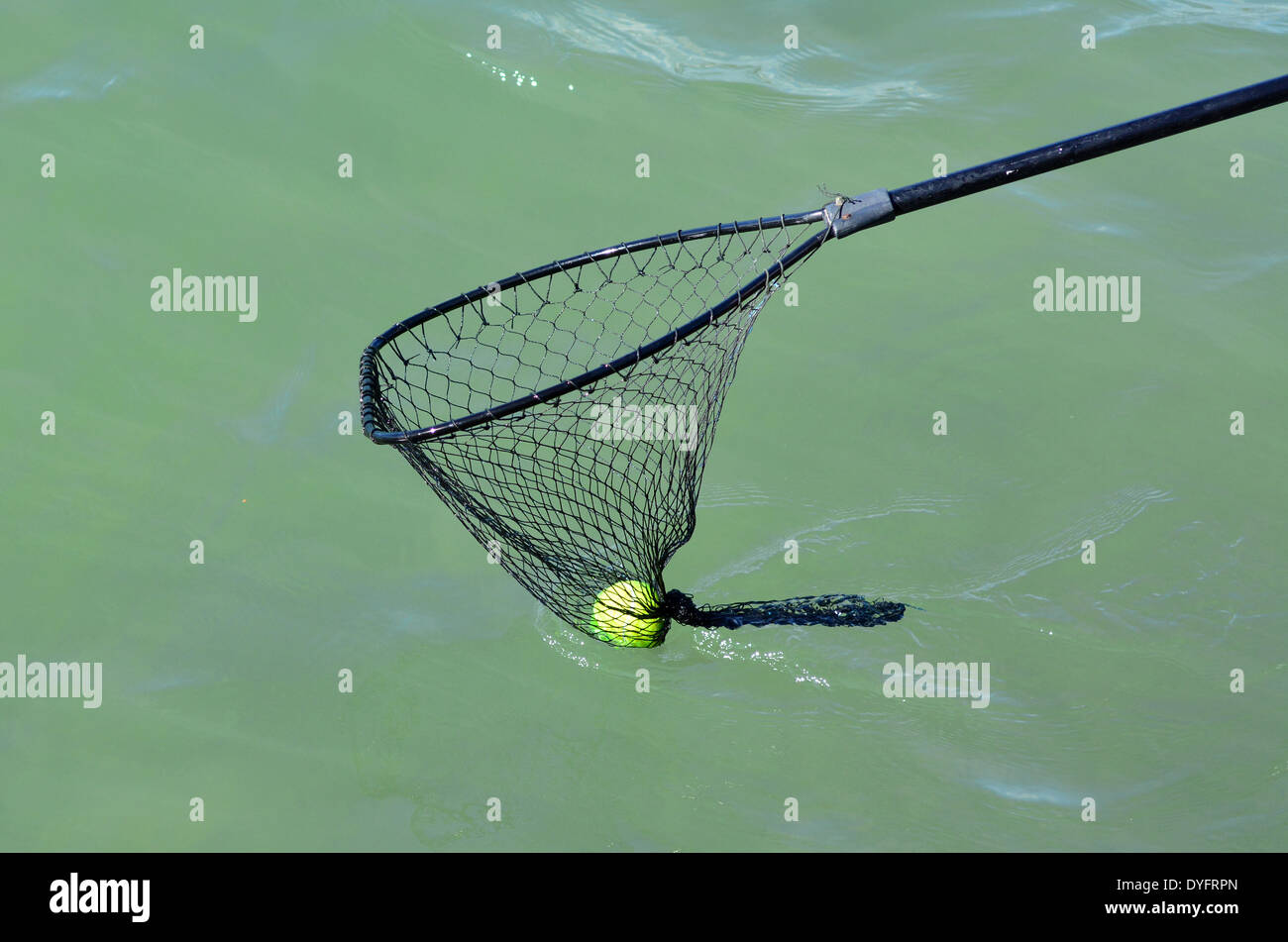 Detail Scoop Net Nomer 6