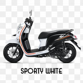 Detail Scoopy 2019 Png Nomer 16