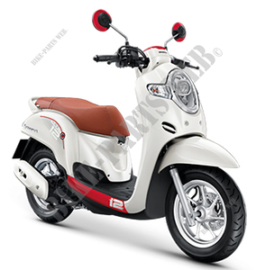 Detail Scoopy 2019 Png Nomer 29