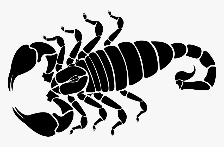 Detail Scorpio Clipart Nomer 8