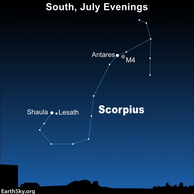 Detail Scorpio Constellation Image Nomer 5