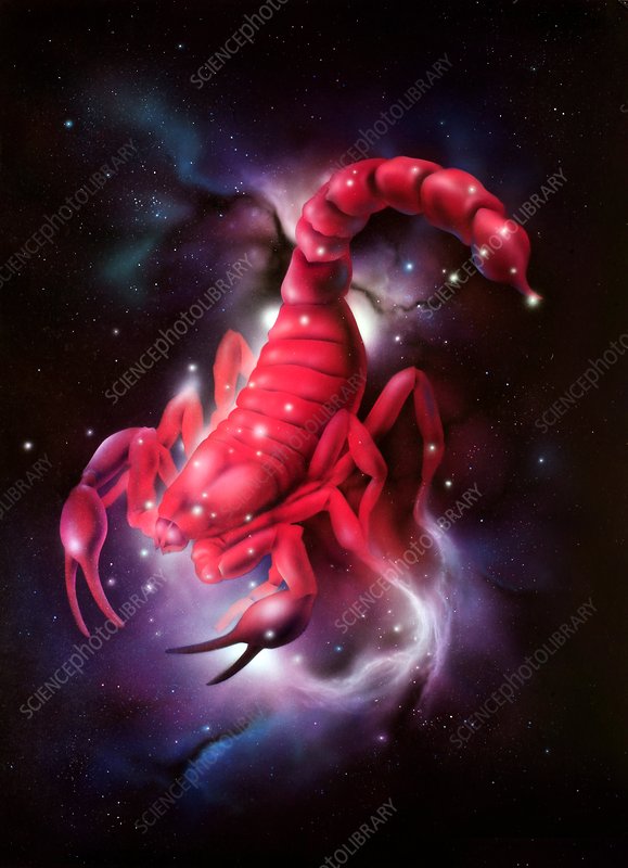 Detail Scorpio Image Zodiac Nomer 48