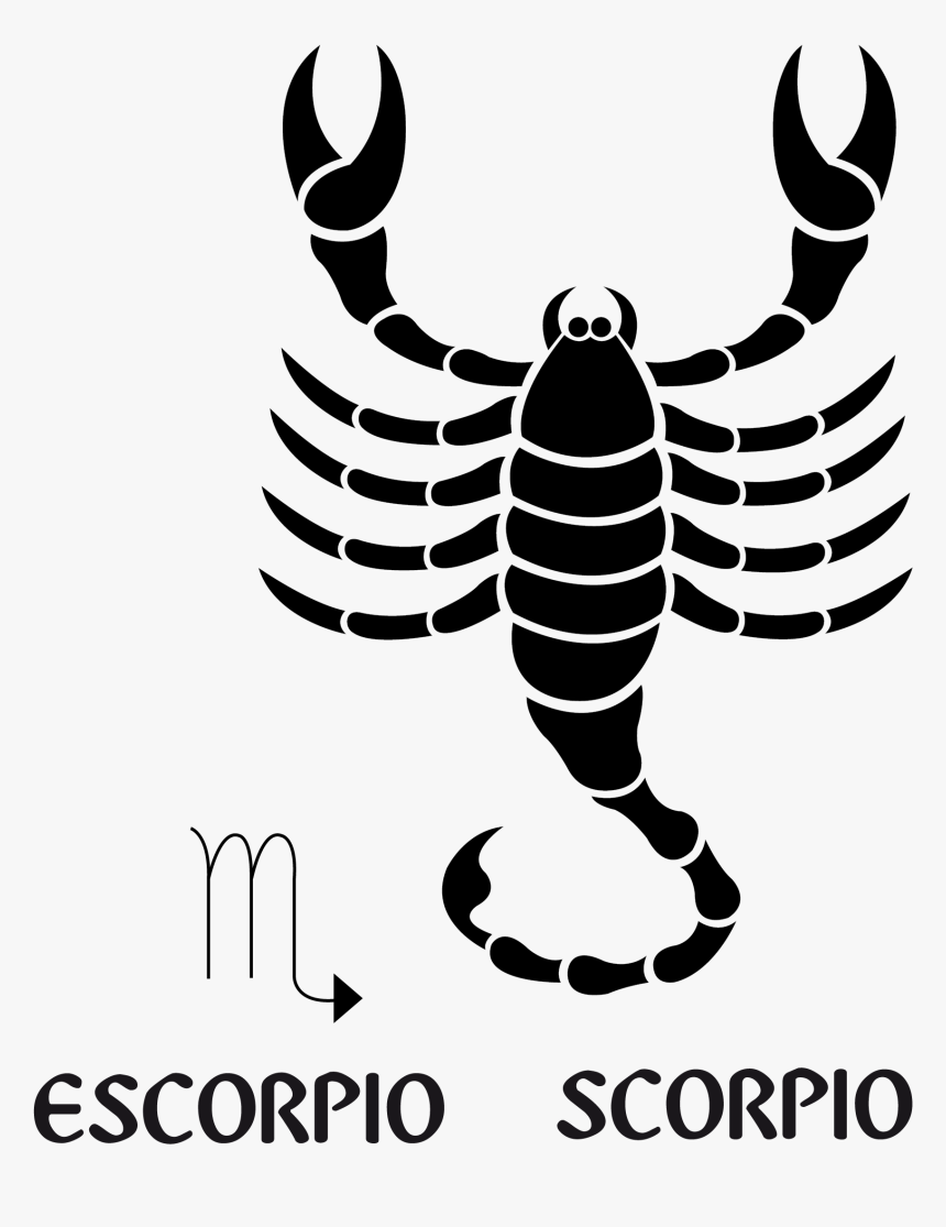 Detail Scorpio Sign Image Nomer 39