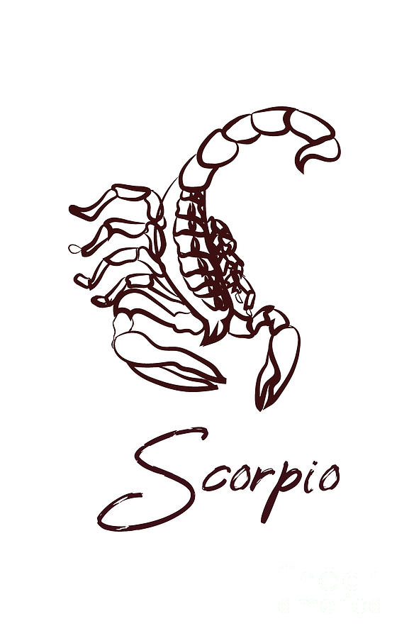 Detail Scorpio Sign Pictures Nomer 30