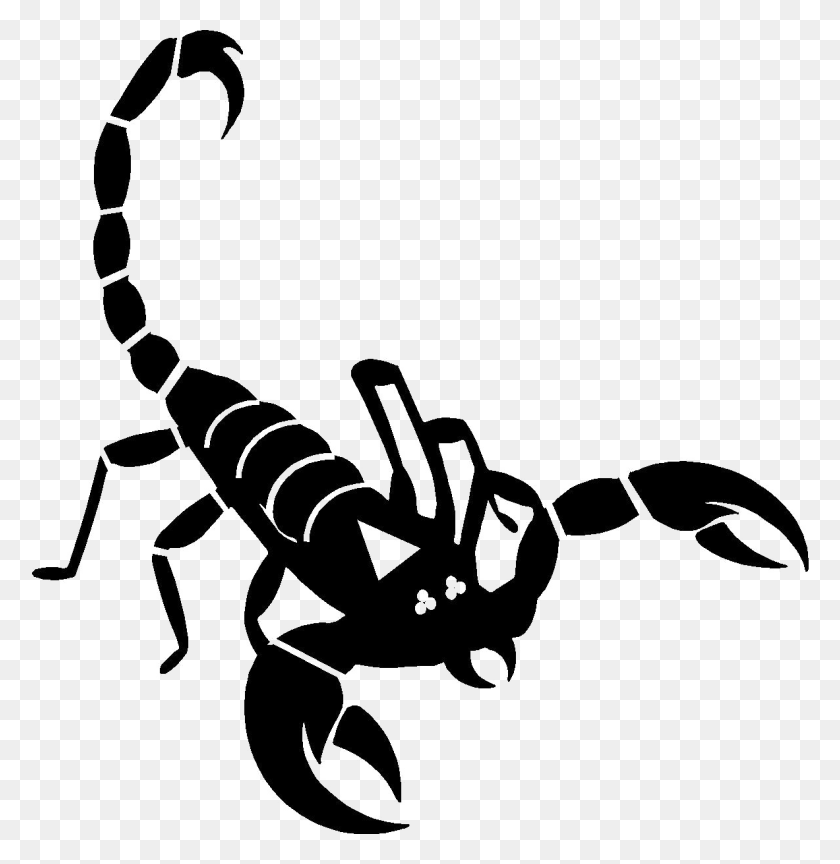 Detail Scorpio Transparent Nomer 33