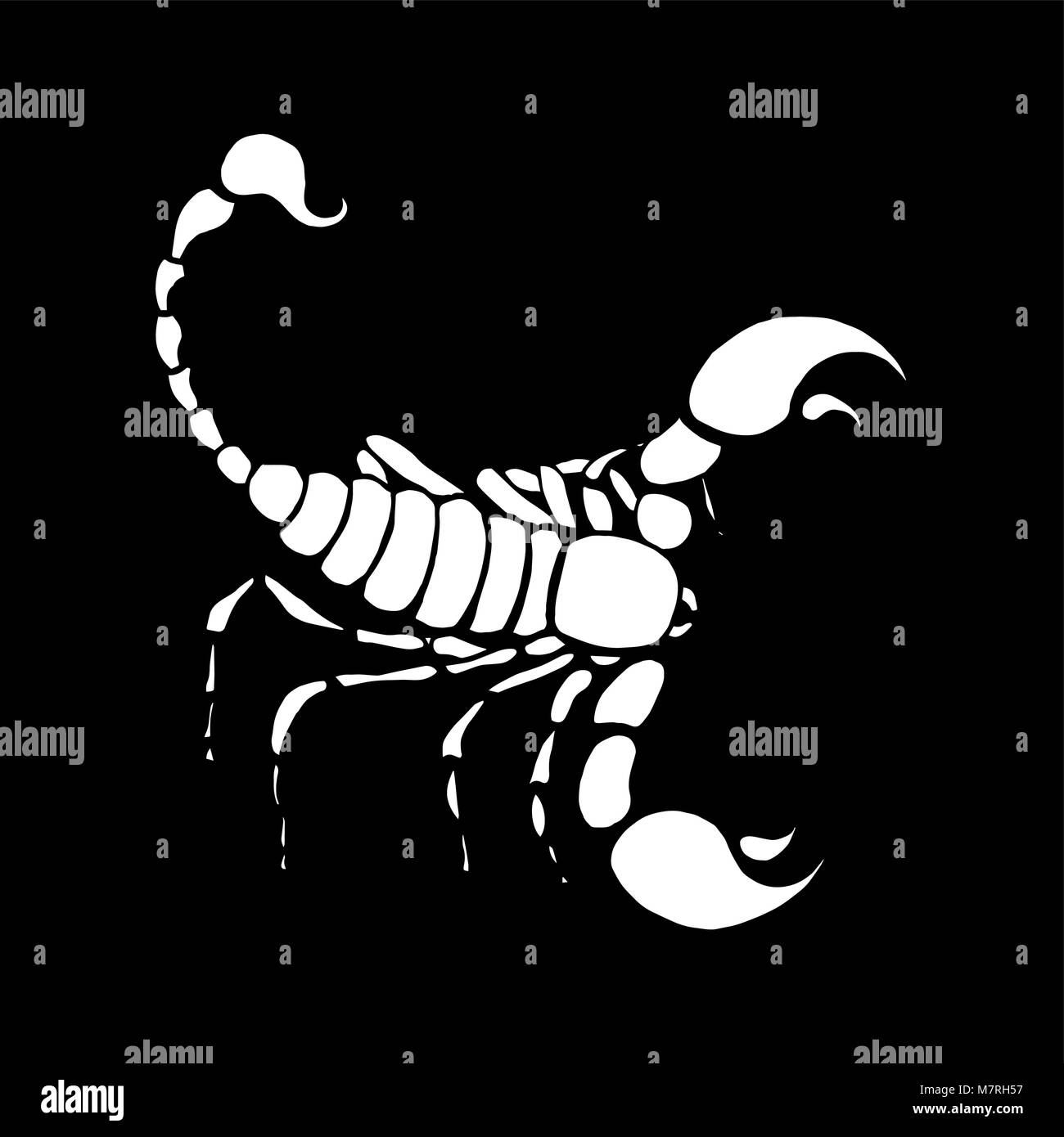 Detail Scorpio Zodiac Image Nomer 4
